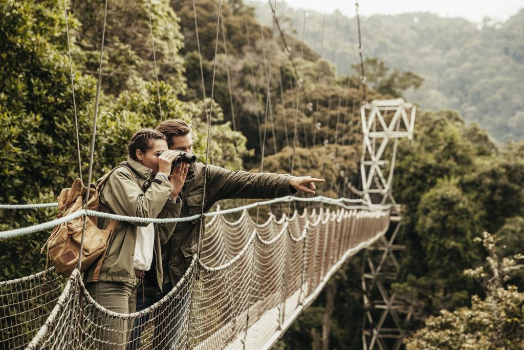 Canopy Walk in Rwanda