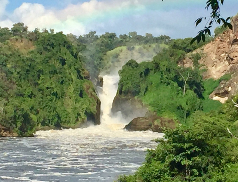 7 days Uganda Wildlife Safaris