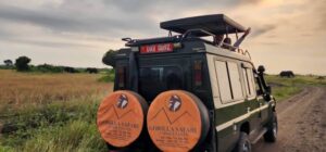 Elephants spotted during a Game Drive at Queen Elizabeth National Park