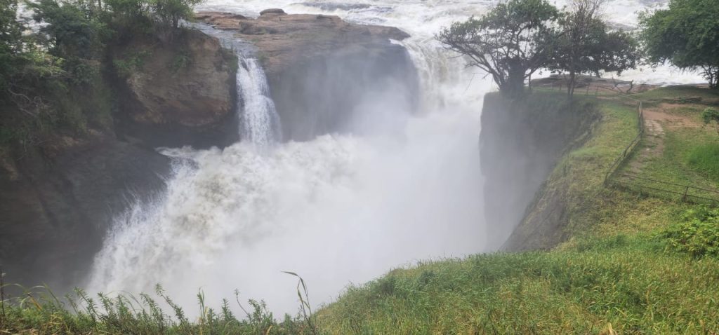 4 Days Murchison Falls Wildlife Viewing