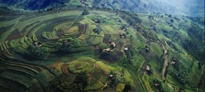 Why You Should Visit Rwanda