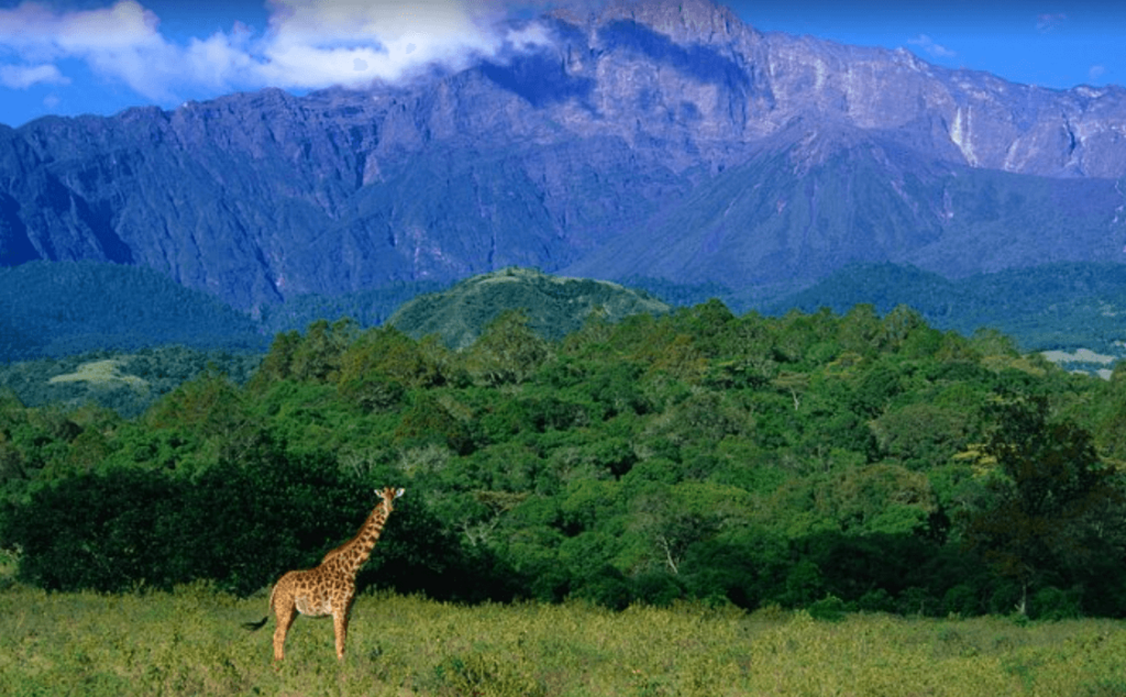 beautiful views of Arusha national park en-route drive to Tanzania on 11 Days Kenya Tanzania Safaris