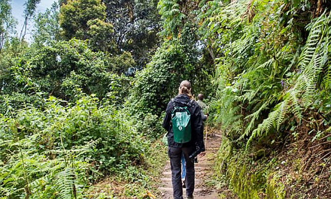 visitors on their hike to top of mount Elgon,Wagagai