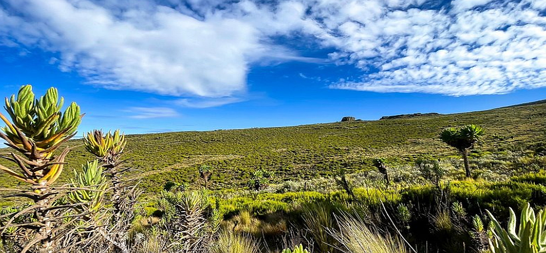 Beautiful Views of Mount Elgon National Park