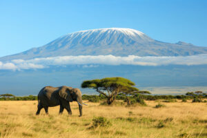 Mount Kilimanjaro National Park