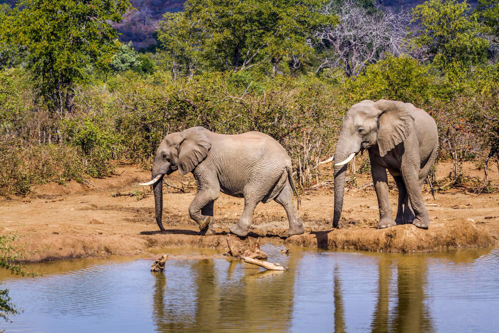 Tarangire National Park