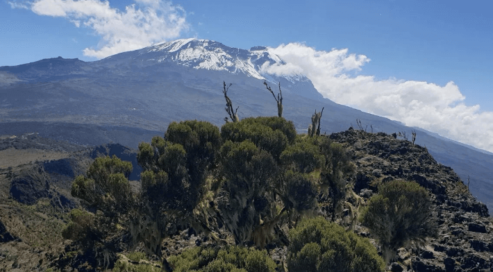 Kilimanjaro National Park - Gorilla Safari Consultants