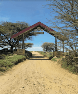 The Serengeti National Park Tanzania