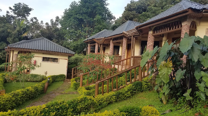 Silverback Lodge Buhoma at Bwindi Forest National Park