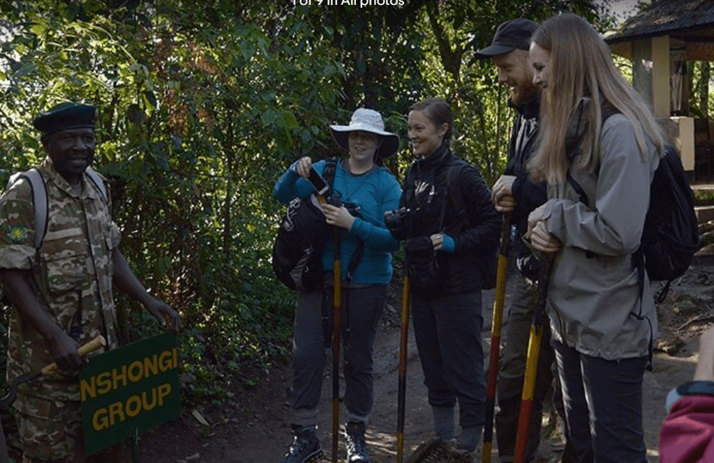 Gorilla Trekking Ethics and Guidelines