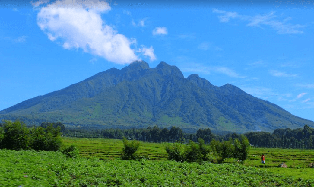 Exploring Volcanoes National Park - Gorilla Safari Consultants