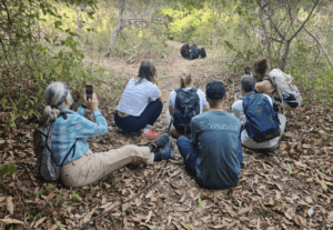 tourists-engage-in-chimpanzee-trekking-in-tanzania