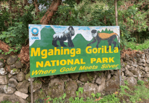 Mgahinga gorilla trekking experience Uganda