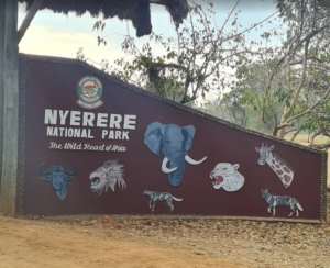 Nyerere National Park